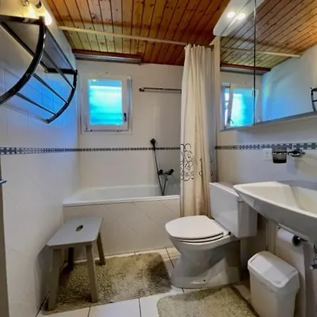 木屋 Chalet Orchidee 格雷兴