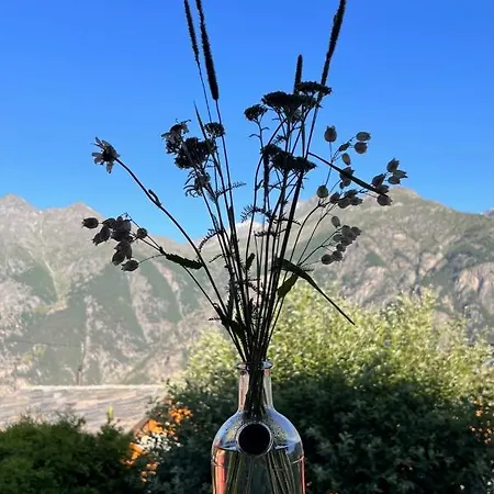 Chalet Orchidee Grächen